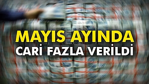 Mayıs ayında cari fazla verildi