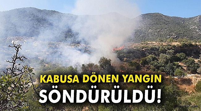Muğla'da kabusa dönen yangın söndürüldü!