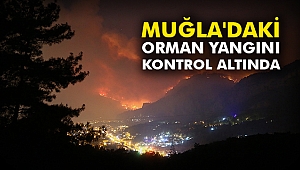Muğla'daki orman yangını kontrol altında