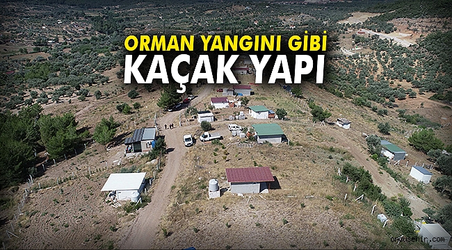Orman yangını gibi kaçak yapı