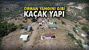 Orman yangını gibi kaçak yapı