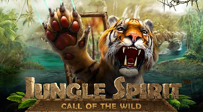 Slot Casino Oyunu Slot Casino Oyunu