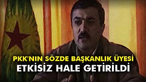 PKK'nın sözde başkanlık üyesi etkisiz hale getirildi
