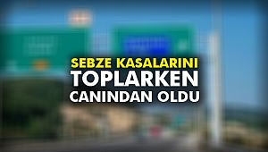 Sebze kasalarını toplarken canından oldu
