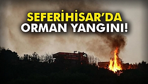 Seferihisar’da orman yangını!