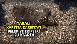 Yaralı karetta karettayı belediye ekipleri kurtardı