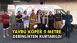 Yavru Köpek 5 metre derinlikten kurtarıldı