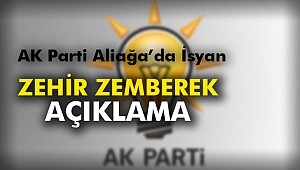 Zehir Zemberek Açıklama