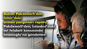 Bakan Pakdemirli'den İzmir'deki orman yangınları raporu