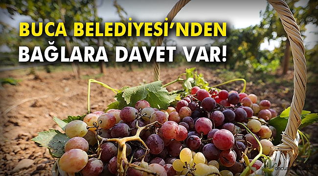 Buca Belediyesi’nden bağlara davet var!