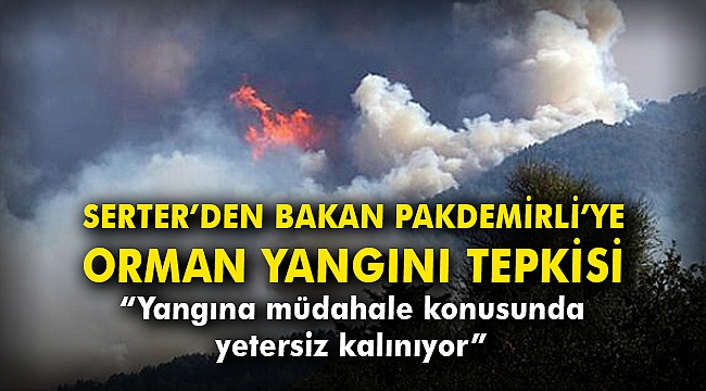 CHP'li Serter'den Bakan Pakdemirli'ye orman yangını tepkisi