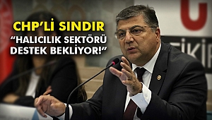 CHP’li Sındır, “Halıcılık sektörü destek bekliyor!”