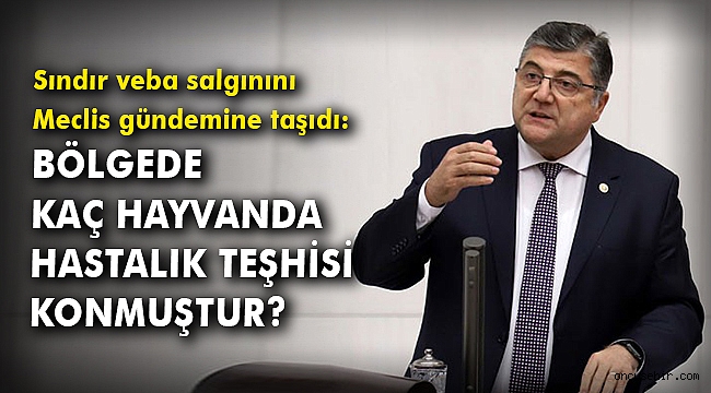 CHP'li Sındır veba salgınını Meclis gündemine taşıdı