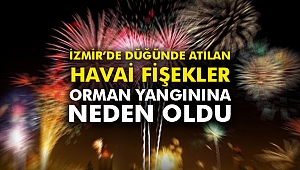İzmir’de düğünde atılan havai fişekler orman yangınına yol açtı