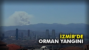 İzmir'de orman yangını