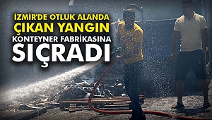 İzmir'de otluk alanda çıkan yangın konteyner fabrikasına sıçradı