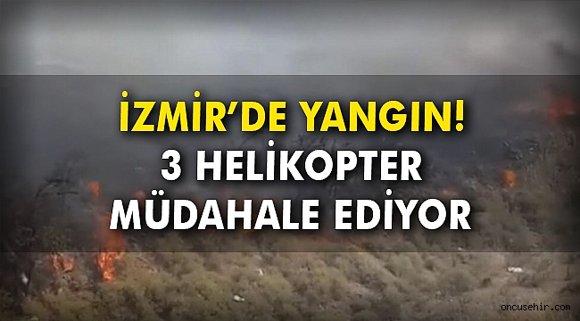 İzmir'de yangın! 3 helikopter müdahale ediyor
