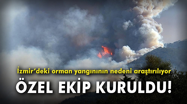 İzmir'deki orman yangınının nedeni araştırılıyor