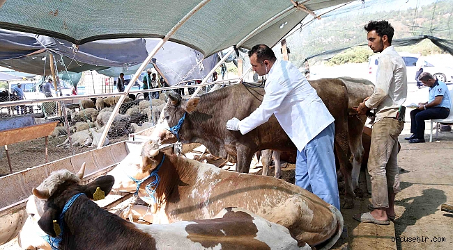 Karşıyaka Kurban Bayramı'na hazır