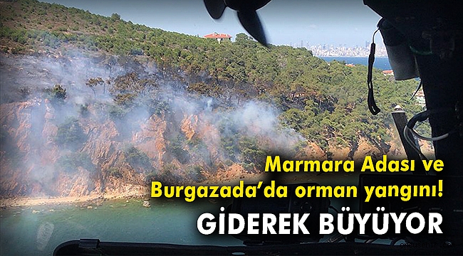 Marmara Adası ve Burgazada'da orman yangını! Giderek büyüyor