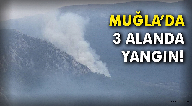 Muğla'da 3 alanda yangın!