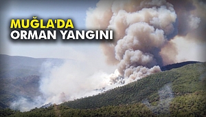 Muğla'da orman yangını