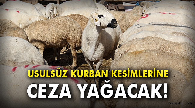 Usulsüz kurban kesimlerine ceza yağacak