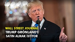 Wall Street Journal: Trump Grönland'i satın almak istiyor