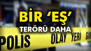 Bir ‘eş’ terörü daha