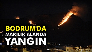 Bodrum'da makilik alanda yangın