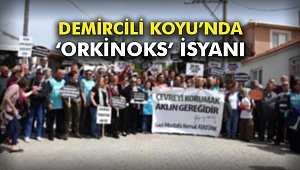 Demircili Koyu’nda ‘Orkinoks’ isyanı