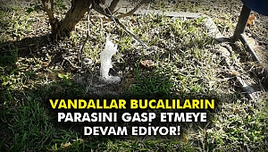 Vandallar Bucalıların parasını gasp etmeye devam ediyor!