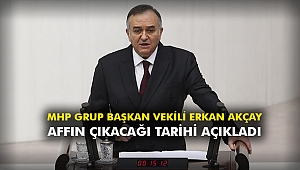 MHP Grup Başkan Vekili Erkan Akçay affın çıkacağı tarihi açıkladı