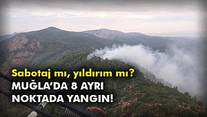 Muğla’da 8 ayrı noktada yangın!