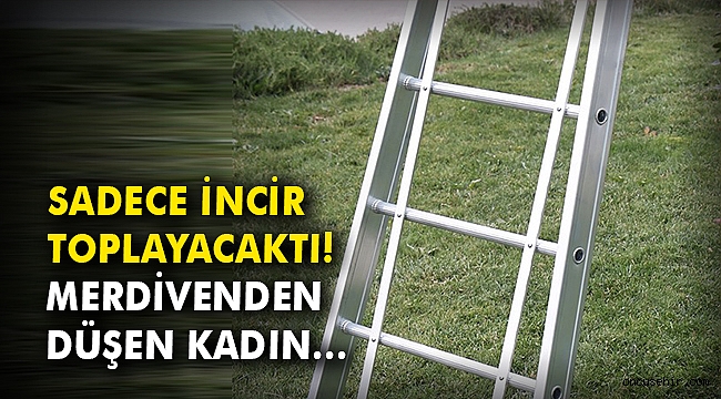 Sadece incir toplayacaktı! Merdivenden düşen kadın…