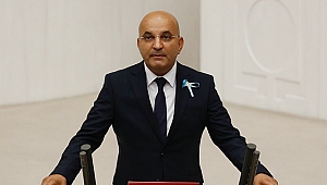 CHP'li Polat: İzmir’in güzel doğası enerji santrallerine teslim ediliyor