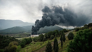 İzmir'de büyük yangın! Olay yerine çok sayıda ekip sevk edildi