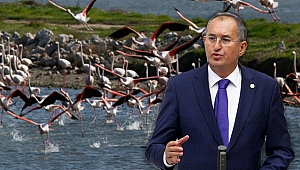 İzmir Kuş Cenneti’ndeki ölümler Meclis gündeminde