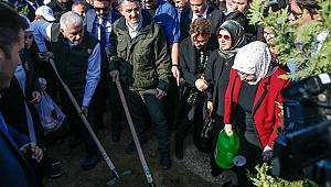 Pakdemirli ile Binali Yıldırım, öğretmenler adına fidan dikti