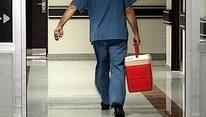 “1,5 milyon insan organ nakli bekliyor”