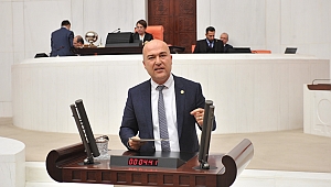 Balık ölümleri meclis gündeminde! CHP'li Bakan: Bu vahşete seyirci kalınamaz