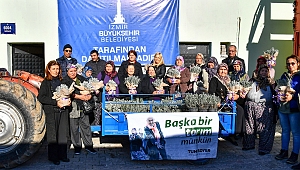 Büyükşehir Doğancılar'a 32 bin lavanta fidesi dağıttı
