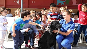 Can dostlar Bayraklı'da güvende