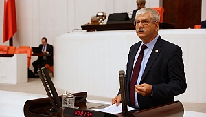 CHP'li Beko: “Ormanlar önce yakılıyor sonra talana açılıyor!”