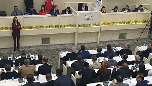 Gökdelen tartışmaları Meclis’e taşındı! Batur’dan açıklama geldi