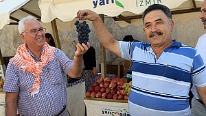 Kavacık Üzümü'ne marka tescili