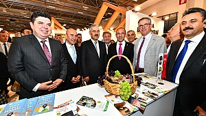 Travel Turkey’de üzüm kokan stant      