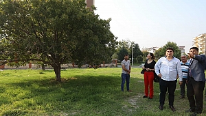 Buca’nın kalbine bin ağaçlık dev orman