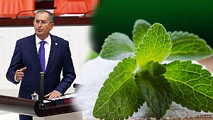 Çaykur’un 16 milyonluk “stevia” macerası başlamadan bitti