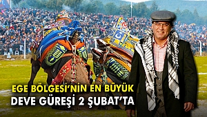 Ege Bölgesi'nin en büyük deve güreşi 2 Şubat’ta